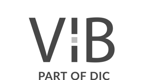 VIB Vermögen AG