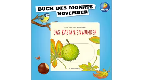 2023-11-08_11-00-01-facebook_bdm_11_2023_1000x1000px