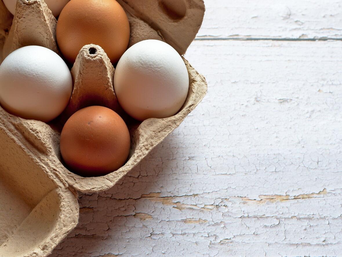eier
