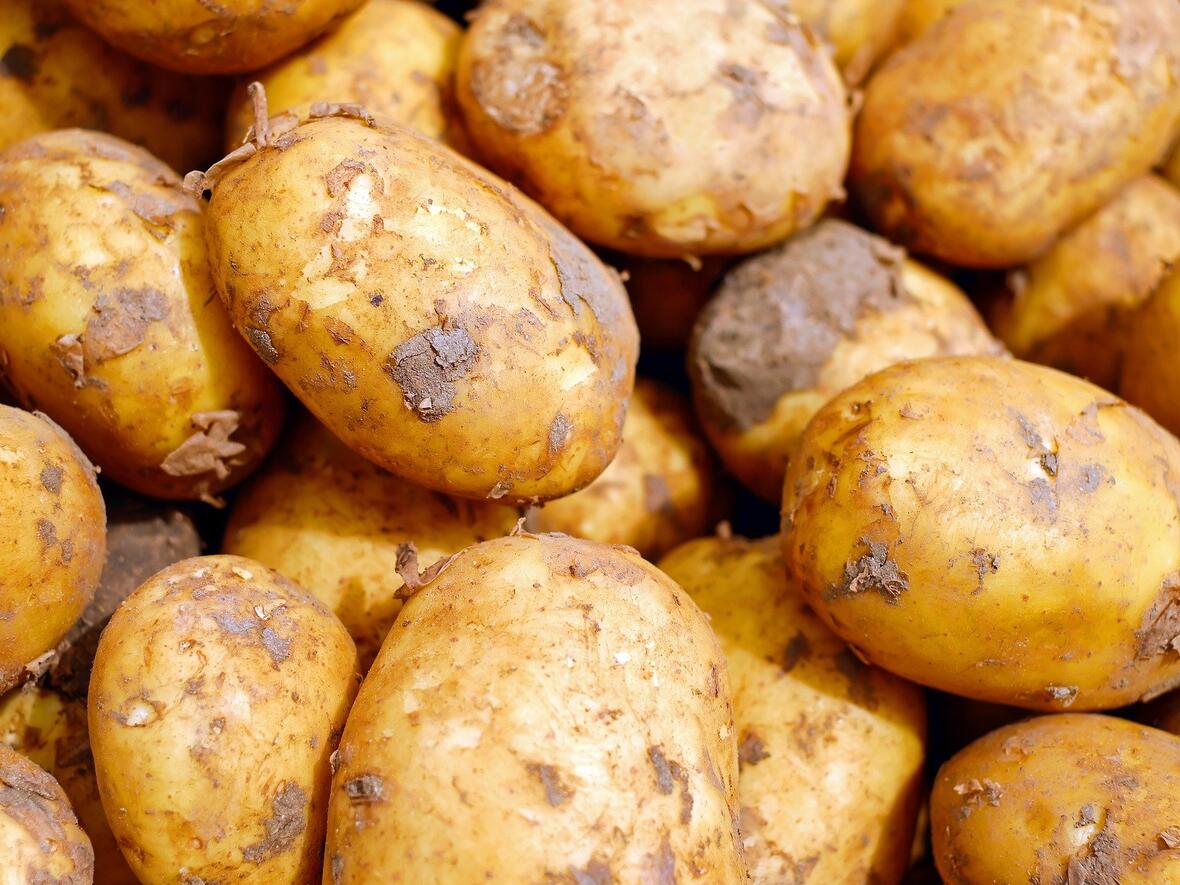 kartoffeln-hofladen