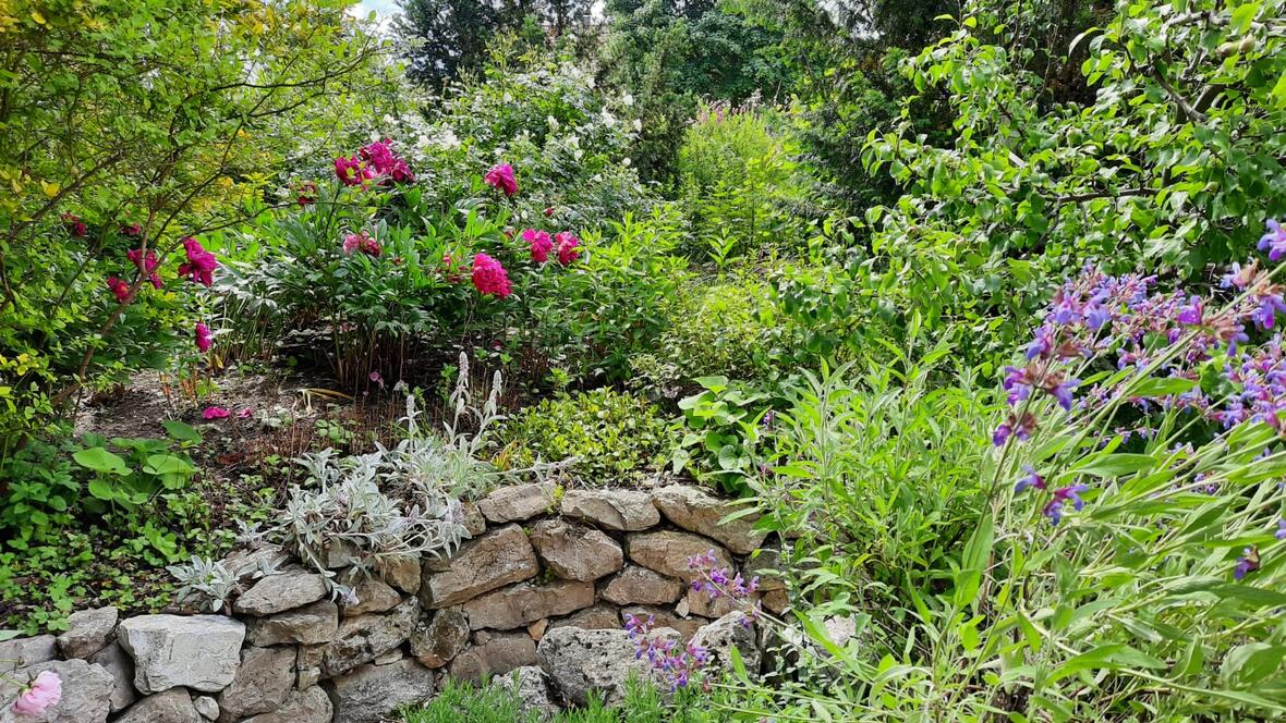 garten-naturnah-foto-birgit-kroneisl