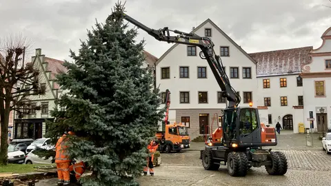 christbaum-aufbau-karlsplatz-2025-3