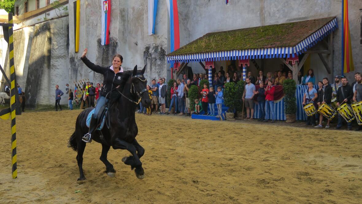 der-friese-im-galopp