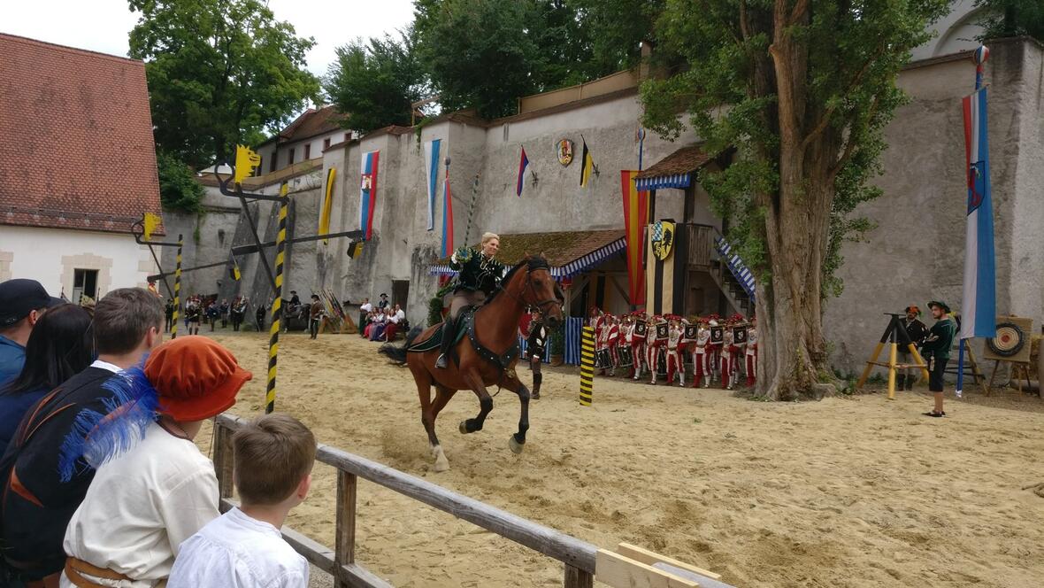 2017-07-01-155538-01-reiterin-im-gallopp