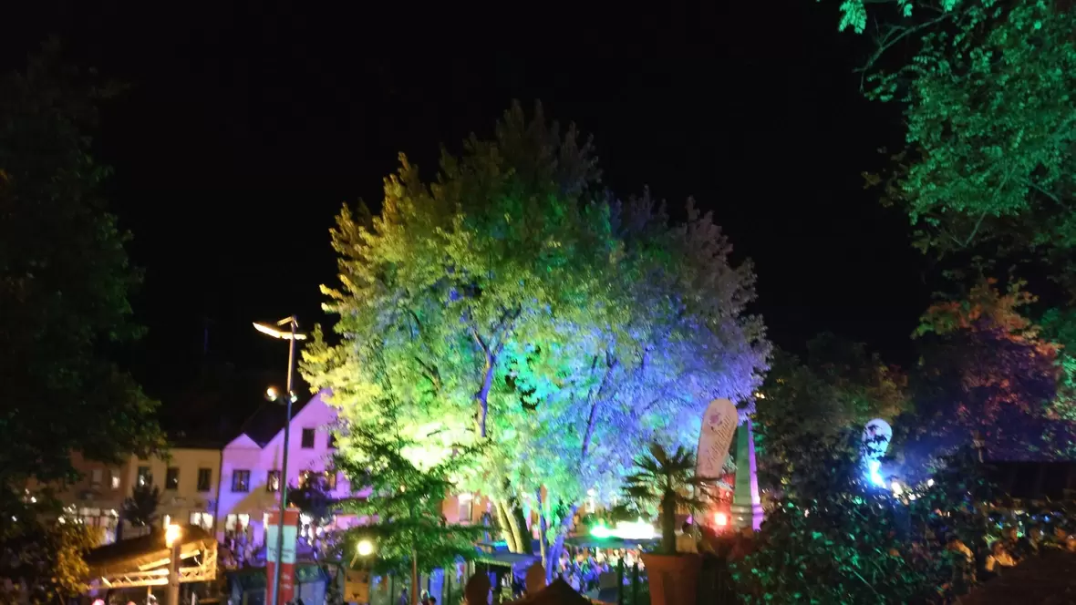 2018-06-08-224427-bunt-beleuchtete-baeume-zieren-den-neuburger-hofgarten