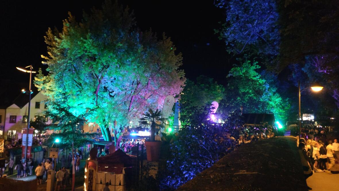2018-06-08-224432-blick-von-der-wichtelhuette-auf-das-bunt-beleuchtete-hofgartenfest