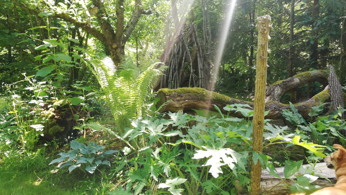 220618-leserfoto-aktion-neuburg-com-garten-in-maxweiler