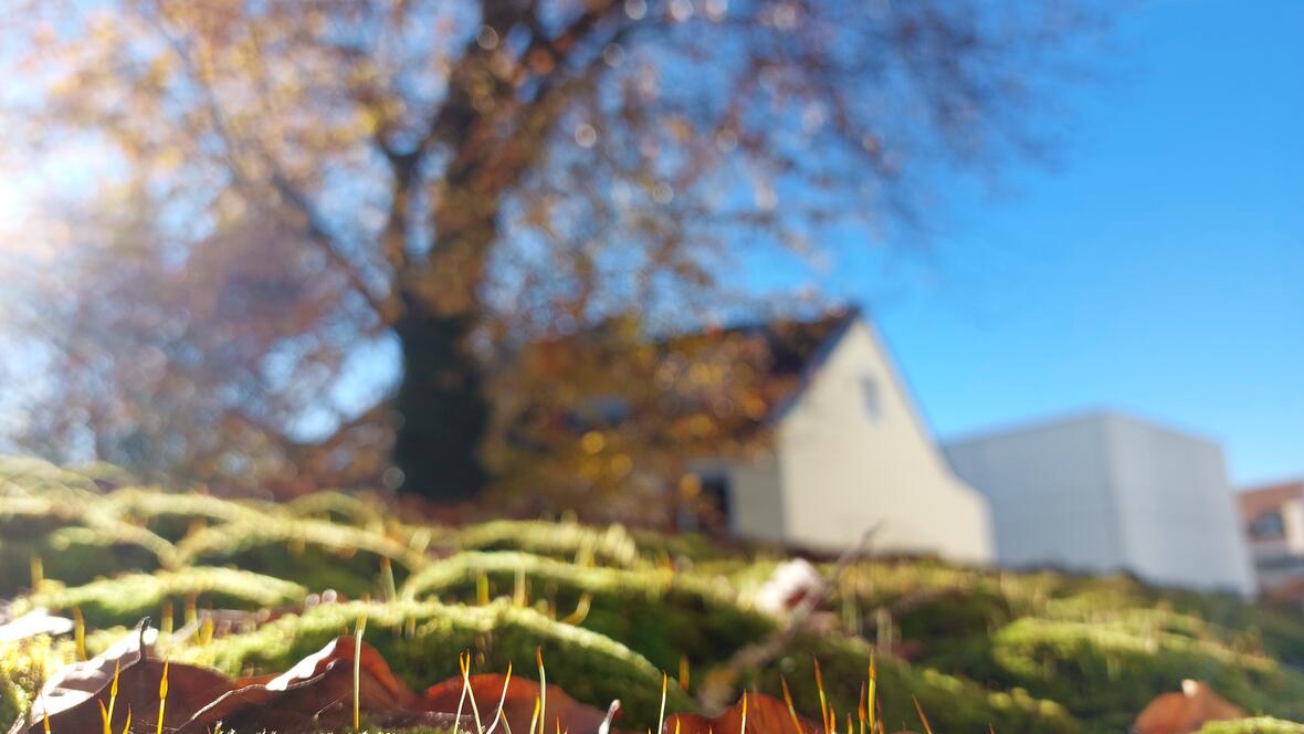 herbstliches Neuburg