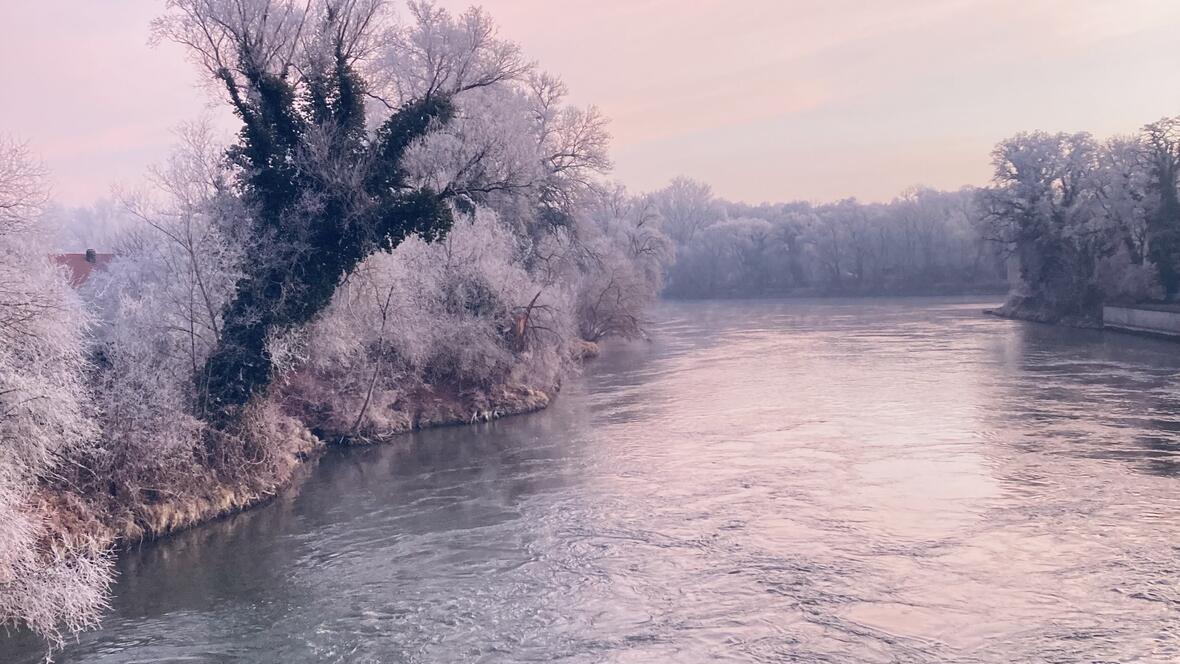 Die Donau im Morgenlicht