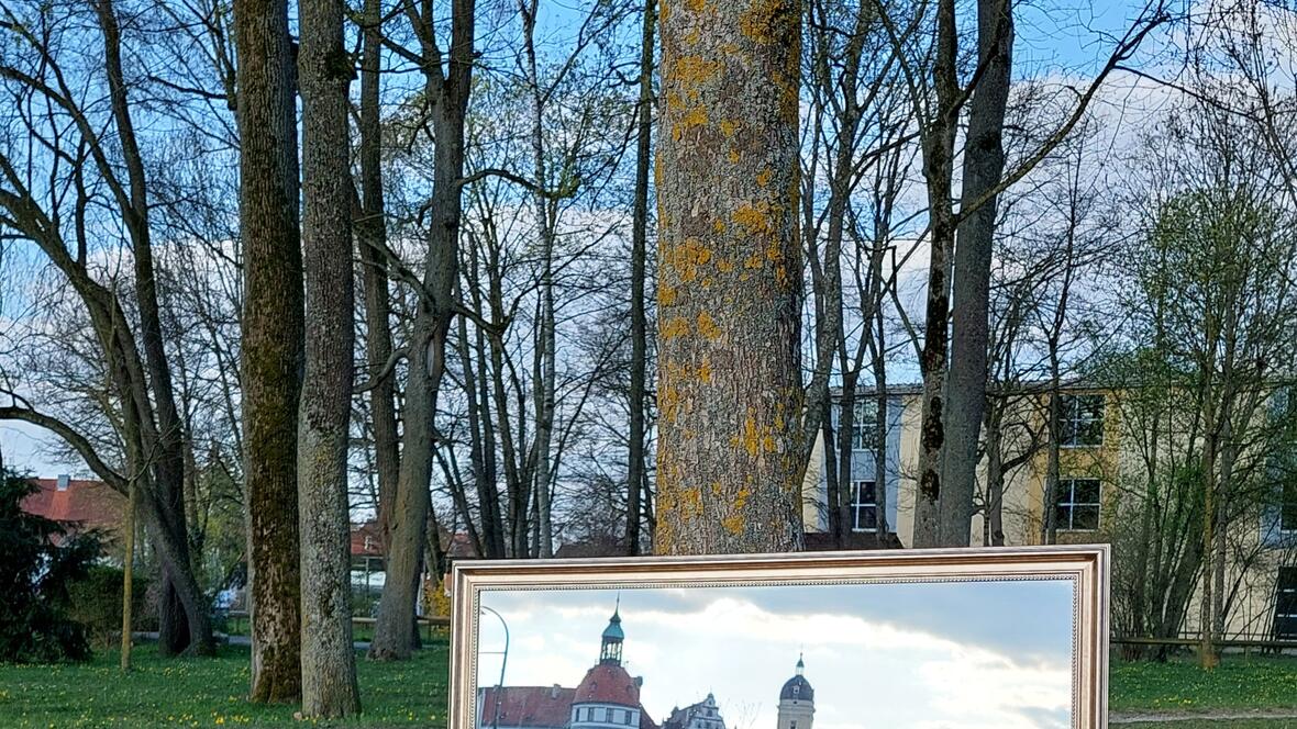 Neuburg im Spiegel