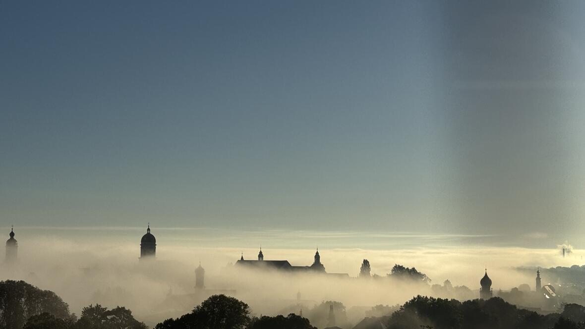 Neuburg bei Nebel