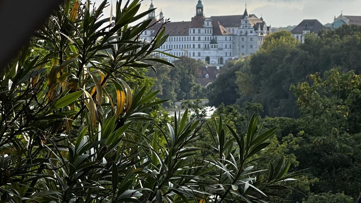 Neuburger Schloss ist auch aus der Ferne schön