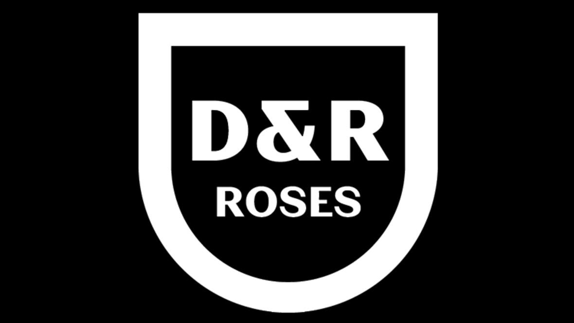 d-r-roses