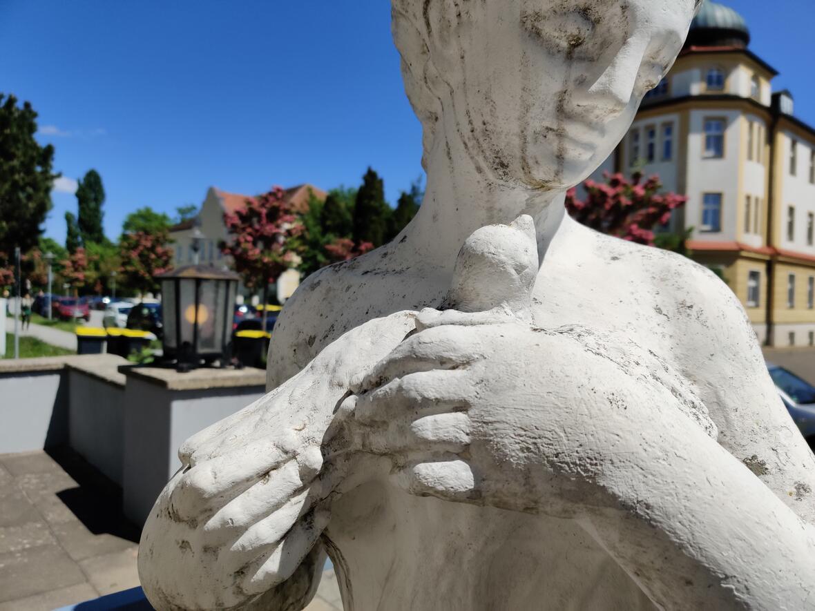 statue-neuhof-neuburg-a.d.-donau