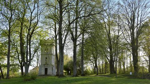 ottheinrichturm_sonnenuntergang_fruehling_bearb_dsc3109