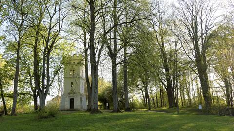 Bild:                                     
