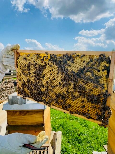 familie_bauernhof_bienen_imker-c-stowasser