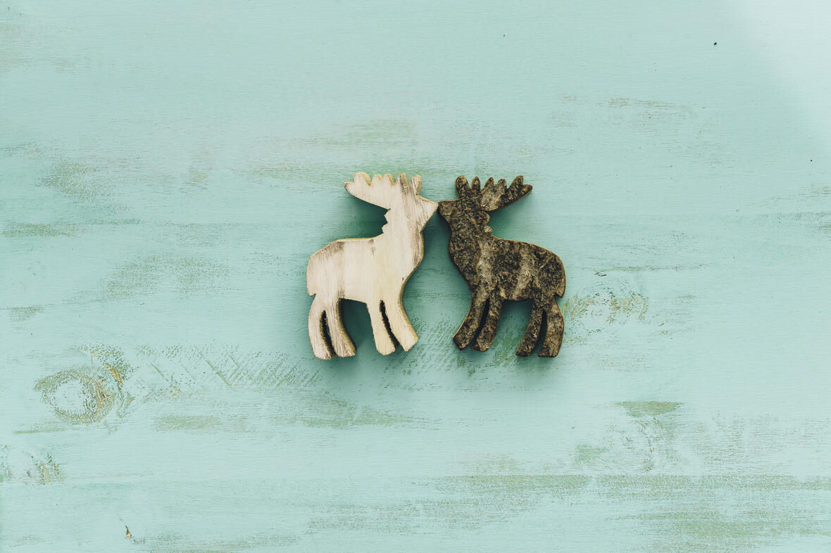 decoration-christmas-with-reindeers-kissing-each-other