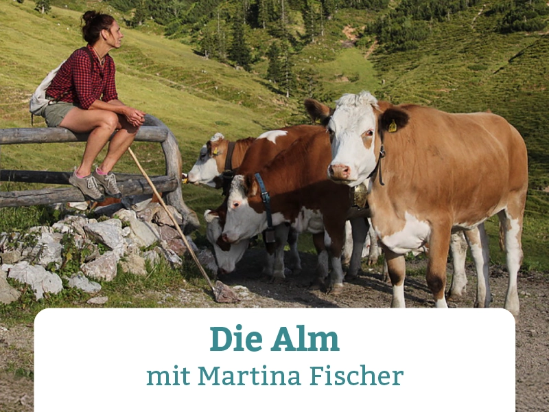 2025-05-12_10-22-53-die-alm