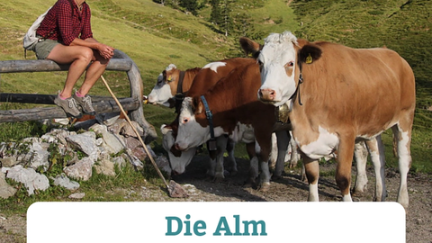 2025-05-12_10-22-53-die-alm