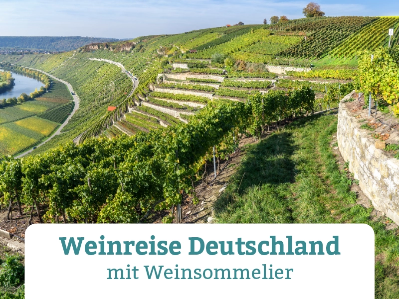 2025-05-12_10-25-43-deutsche-weinreise