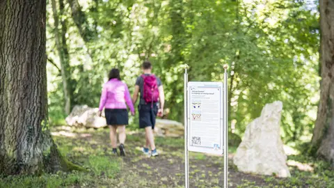 Bild: Dietmar Denger