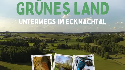 gruenes_land_kinopalast_filmabend