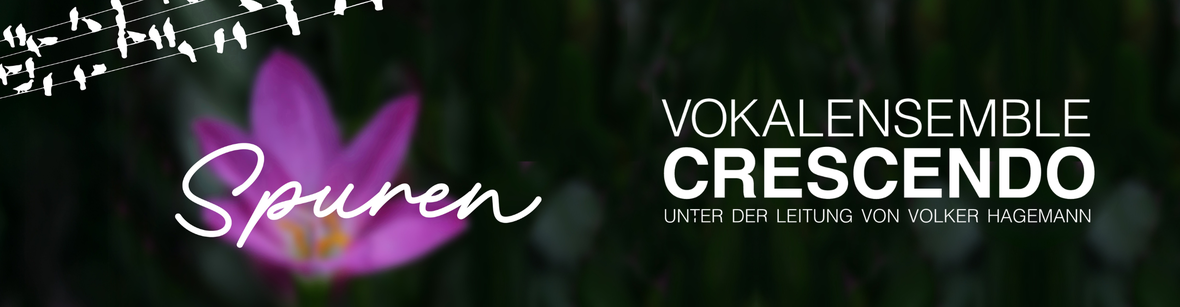 chorkonzert-vokalensemble-crescendo