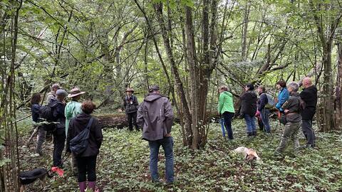 bild-9-exkursion-durch-den-wald-bildquelle-anna-pfahler