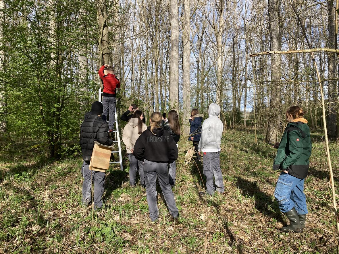 bild-7-fledermauskasten-aktion-bildquelle-anna-pfahler