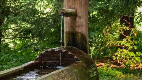 wasser-c-pexels-fer-id