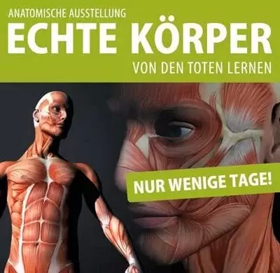 ausstellung-echte-koerper