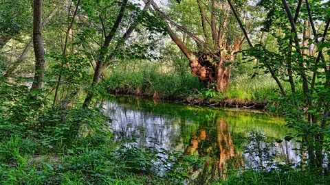 flow-g492305060_1920