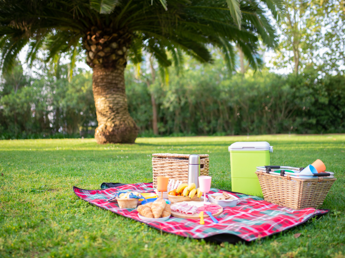picknick