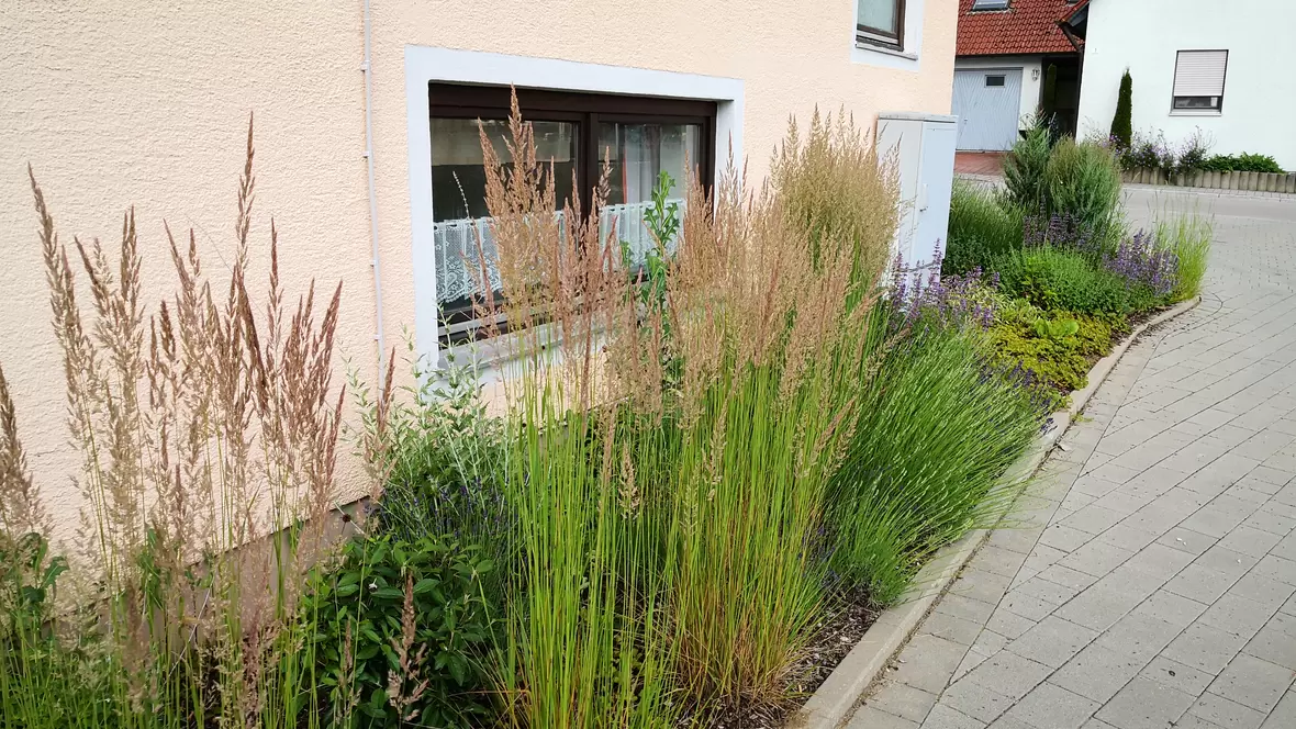 Intensivbepflanzung, Staudenbeet, Gemeindeverwaltung Daiting