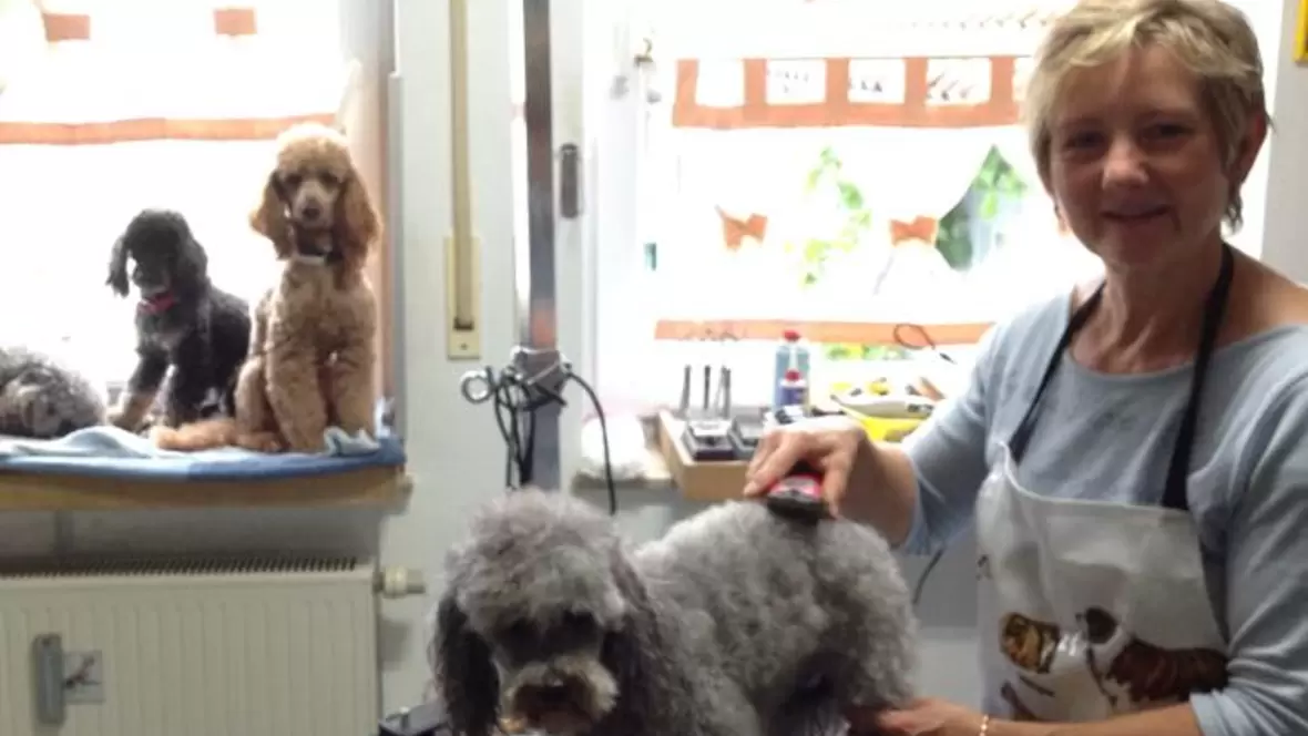 Silvia Siebert im Hundesalon Siebert direkt beim frisieren