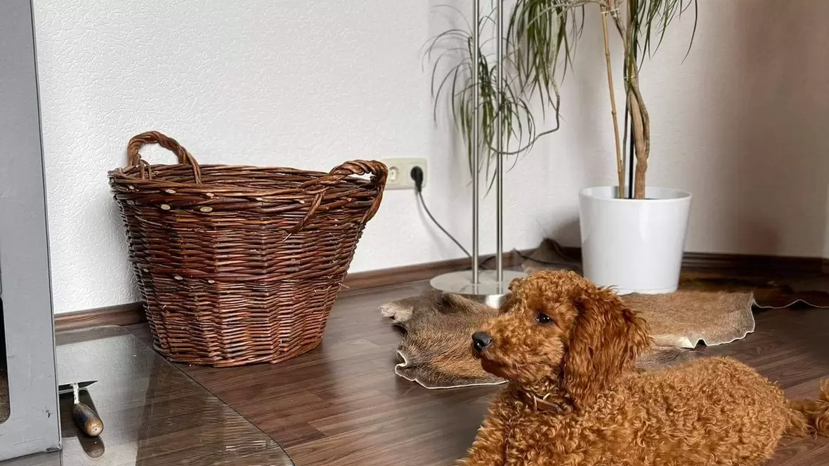 Entspannt Zuhause