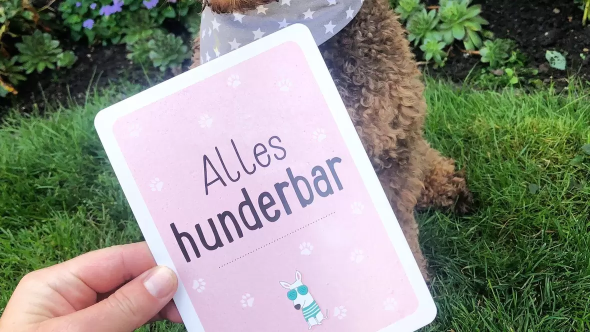 Alles Huderbar im Hundesalon Siebert