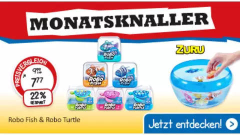 monatsknaller-februar