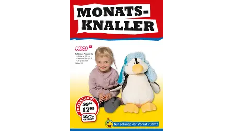 monatsknaller-spiel-2020-11-de