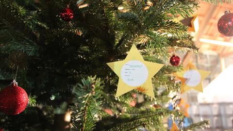 wunschbaum-neuburger-weihnacht